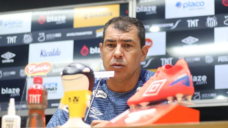 Fábio Carille, treinador do Santos.
