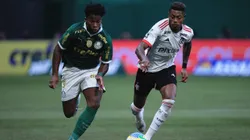 Bruno Henrique e Endrick disputam bola em Palmeiras e Flamengo, no Allianz Parque. Foto: Ettore Chiereguini/AGIF