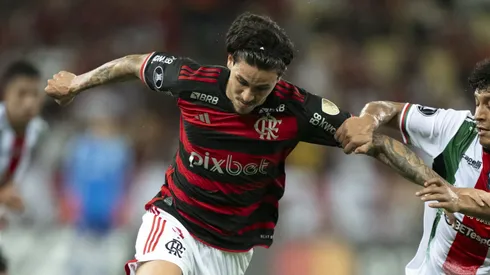Pedro quer marcar novamente pelo Flamengo na Copa Libertadores. Foto: Jorge Rodrigues/AGIF