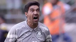 SAO PAULO, BRAZIL - DECEMBER 03: Abel Ferreira head coach of Palmeiras gestures during a match between Palmeiras and Fluminense as part of Brasileirao Series A 2023 at Allianz Parque on December 03, 2023 in Sao Paulo, Brazil. (Photo by Alexandre Schneider/Getty Images)
