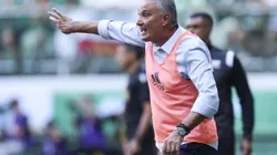 Tite falou sobre o gramado sintético do Allianz