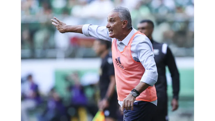 Tite falou sobre o gramado sintético do Allianz