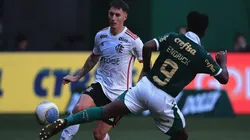 Foto: Ettore Chiereguini/AGIF - Palmeiras e Flamengo empatam sem gols no Allianz Parque