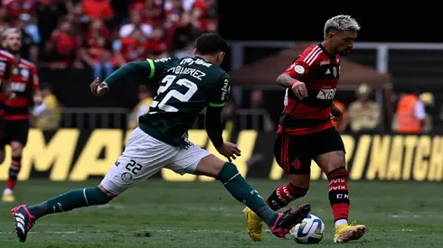 Foto: Mateus Bonomi/AGIF - Palmeiras e Flamengo se enfrentam neste domingo (21)