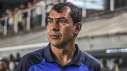 Fábio Carille, treinador do Santos.