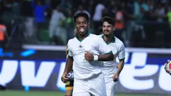 Endrick tem mais uma oportunidade de marcar pelo Palmeiras. Foto: Ettore Chiereguini/AGIF