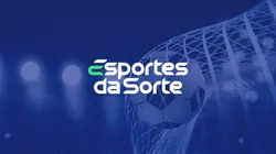 A Esportes da Sorte Brasil é uma das principais operadoras do mercado