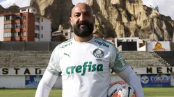 Rogério Godoy em ação pelo Palmeiras em jogo da Libertadores 2024