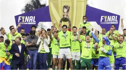 Palmeiras venceu o Campeonato Paulista 26 vezes na história - Foto:Alexandre Schneider/Getty Images