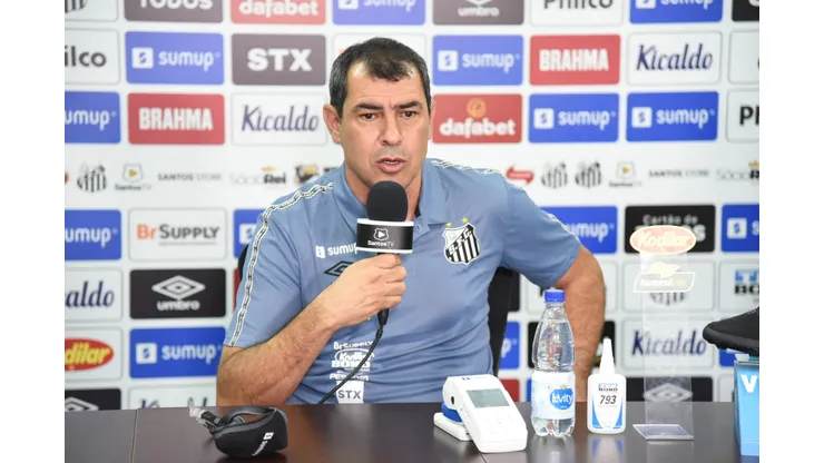 Carille contesta decisão do VAR em Palmeiras x Santos Foto: Ivan Storti/Santos