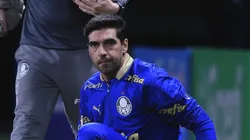 Abel durante partida que classificou o Verdão à decisão, contra o Novorizontino. Foto: Ettore Chiereguini/AGIF