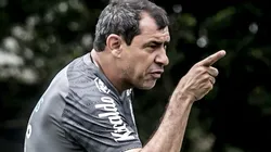 Fábio Carille, treinador do Santos. Foto: Ivan Storti/Flickr Santos FC