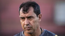 Carille ainda pode ter reforços - Foto: Raul Baretta/ Santos FC.