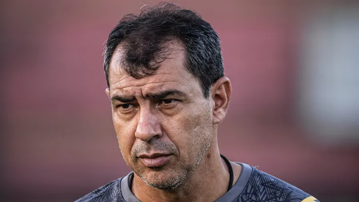 Carille ainda pode ter reforços - Foto: Raul Baretta/ Santos FC.