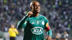 Marcos Assunção, ex-jogador, comemora gol marcado na Copa do Brasil de 2012 - Foto: Divulgação/Palmeiras
