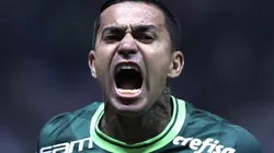 Dudu se prepara para retornar ao time do Palestra Italia