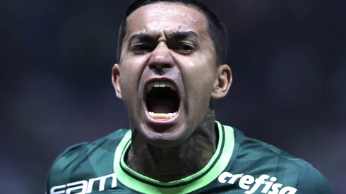 Dudu se prepara para retornar ao time do Palestra Italia