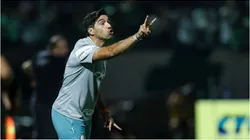 Foto: Alexandre Schneider/Getty Images - Abel Ferreira