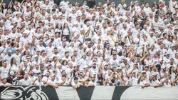 Torcida do Santos nas arquibancadas da Vila Belmiro