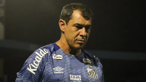 Fábio Carille, técnico do Santos, durante partida contra o Avaí no estádio Ressacada pelo Brasileirão Série B