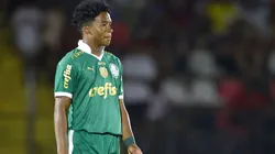 Endrick jogador do Palmeiras durante partida contra o Botafogo-SP no estadio Santa Cruz pelo campeonato Copa Do Brasil 2024. Foto: Thiago Calil/AGIF