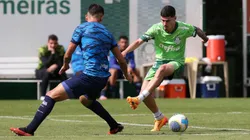 Foto: Cesar Greco/Palmeiras