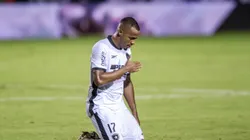 Jogador do Botafogo comemoram vitoria. Foto: Jhony Pinho/AGIF