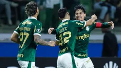 Botafogo-SP e Palmeiras se encontraram para a disputa do jogo de volta da Copa do Brasil.