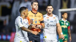O arbitro Flavio Rodrigues de Souza durante partida entre Santos e Palmeiras no estadio Vila Belmiro pelo campeonato Paulista 2024. Foto: Abner Dourado/AGIF