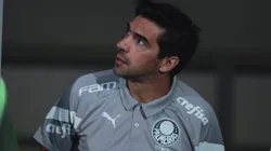 Abel Ferreira deve ser acionado pela FIFA e Verdão se movimenta