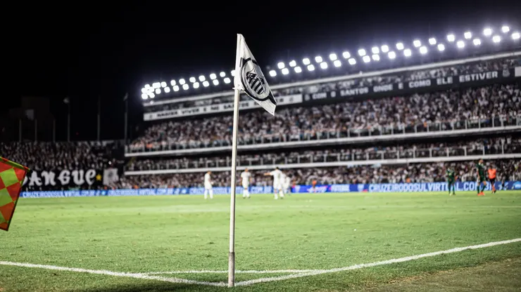 Estádio Vila Belmiro em jogo do Campeonato Paulista 2024. Foto: Abner Dourado/AGIF