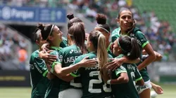 Palmeiras irá enfrentar o Fluminense pela primeira vez. Divulgação/Fabio Menotti/Palmeiras.