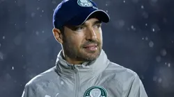 Abel Ferreira, técnico do Palmeiras, durante partida contra o Bragantino no estadio Nabi Abi Chedid pelo Campeonato Paulista 2024