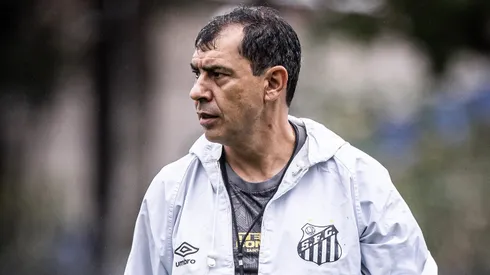 Atitude de Carille nos bastidores gera incômodo no Santos