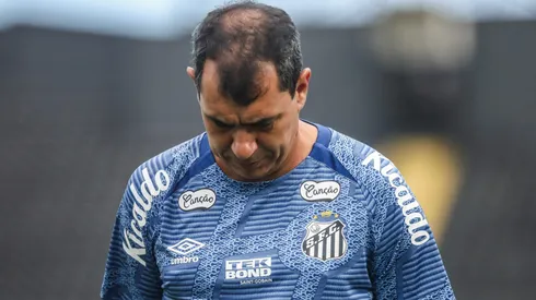 Fábio Carille, treinador do Santos.