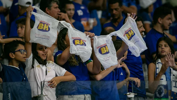 MG - BELO HORIZONTE - 28/04/2024 - BRASILEIRO A 2024, CRUZEIRO X VITORIA - Torcida do Cruzeiro durante partida contra Vitoria no estadio Mineirao pelo campeonato Brasileiro A 2024. Foto: Fernando Moreno/AGIF