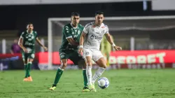 Giuliano jogador do Santos durante partida contra o Guarani no estadio Vila Belmiro pelo campeonato Brasileiro B 2024. Foto: Reinaldo Campos/AGIF