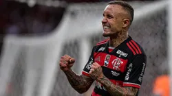 Atacante reforça o setor ofensivo do Rubro-Negro