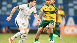 Denilson jogador do Cuiaba disputa lance com Piquerez jogador do Palmeiras. Foto: Gil Gomes/AGIF