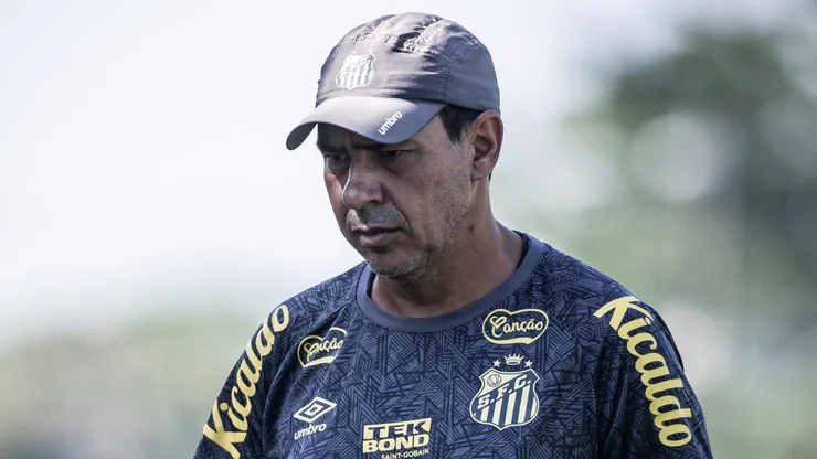 Carille reprova o rendimento - Fotos: Raul Baretta/ Santos FC..
