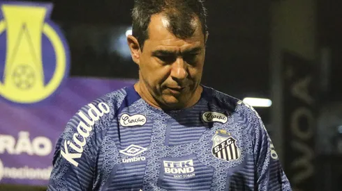 Fábio Carille, treinador do Santos.