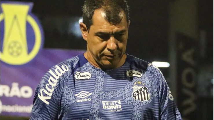 Fábio Carille, treinador do Santos.