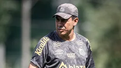Fábio Carille analisa a contratação do meia, visando o planejamento para a Série B do Brasileiro