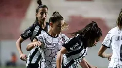Equipes vivem situações opostas no Brasileirão Feminino 2024. Divulgação.