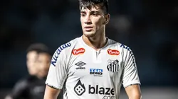 Santos e Chapecoense entram em campo pela 13ª rodada.