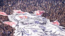 Torcida do Corinthians. Foto: Alan Morici/AGIF