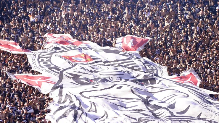 Torcida do Corinthians. Foto: Alan Morici/AGIF