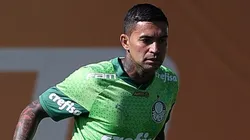 Dudu vive um novo recomeço no Verdão - Foto: Cesar Greco/Palmeiras/by Canon
