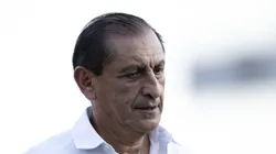 RJ - RIO DE JANEIRO - 27/04/2024 - BRASILEIRO A 2024, VASCO X CRICIUMA - Ramon Diaz tecnico do Vasco durante partida contra o Criciuma no estadio Sao Januario pelo campeonato Brasileiro A 2024.