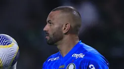 Weverton foi fundamental na vitória do Palmeiras sobre o Criciúma. Foto: Ettore Chiereguini/AGIF